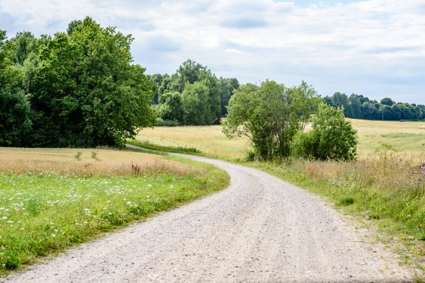 Cost of Stone Driveway Repair in Zionsville