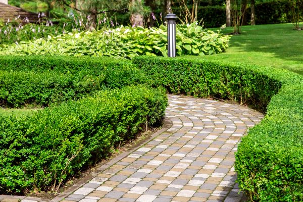 Cost of Paved Landscaping in Zionsville