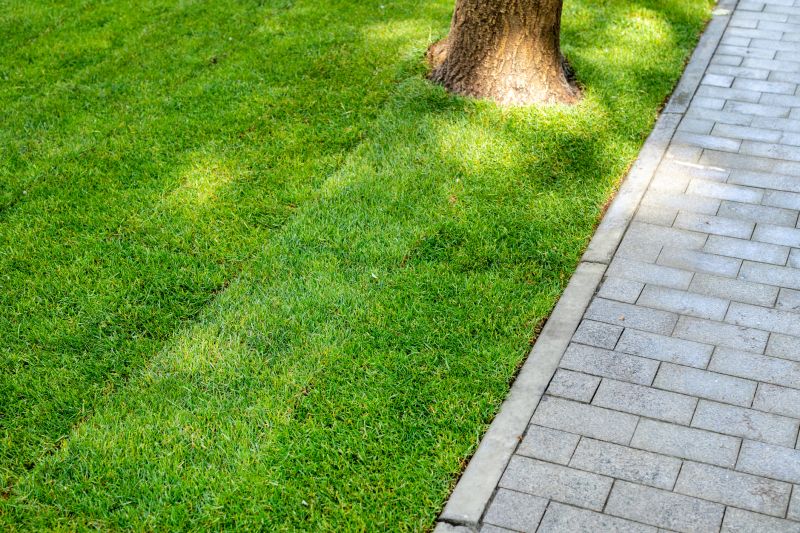 Paver Walkway Installation