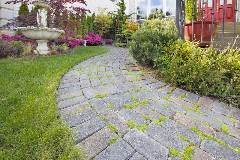 Walkway Paver Options